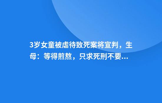 3歲女童被虐待致死案將宣判，生母：等得煎熬，只求死刑不要一分錢(qián)