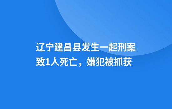 遼寧建昌縣發(fā)生一起刑案致1人死亡，嫌犯被抓獲