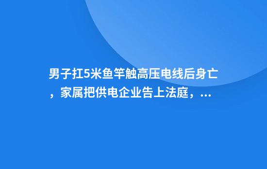 男子扛5米魚(yú)竿觸高壓電線(xiàn)后身亡，家屬把供電企業(yè)告上法庭，法院這樣判