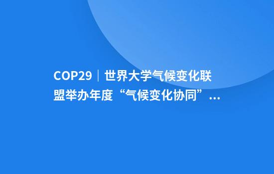 COP29｜世界大學(xué)氣候變化聯(lián)盟舉辦年度“氣候變化協(xié)同”高級別活動(dòng)