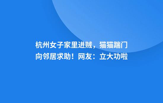 杭州女子家里進(jìn)賊，貓貓踹門(mén)向鄰居求助！網(wǎng)友：立大功啦