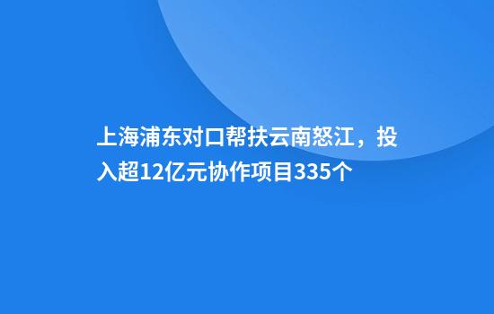 上海浦東對口幫扶云南怒江，投入超12億元協(xié)作項目335個(gè)