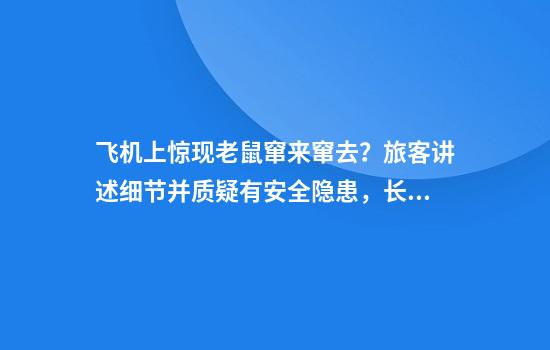 飛機上驚現老鼠竄來(lái)竄去？旅客講述細節并質(zhì)疑有安全隱患，長(cháng)安航空回應
